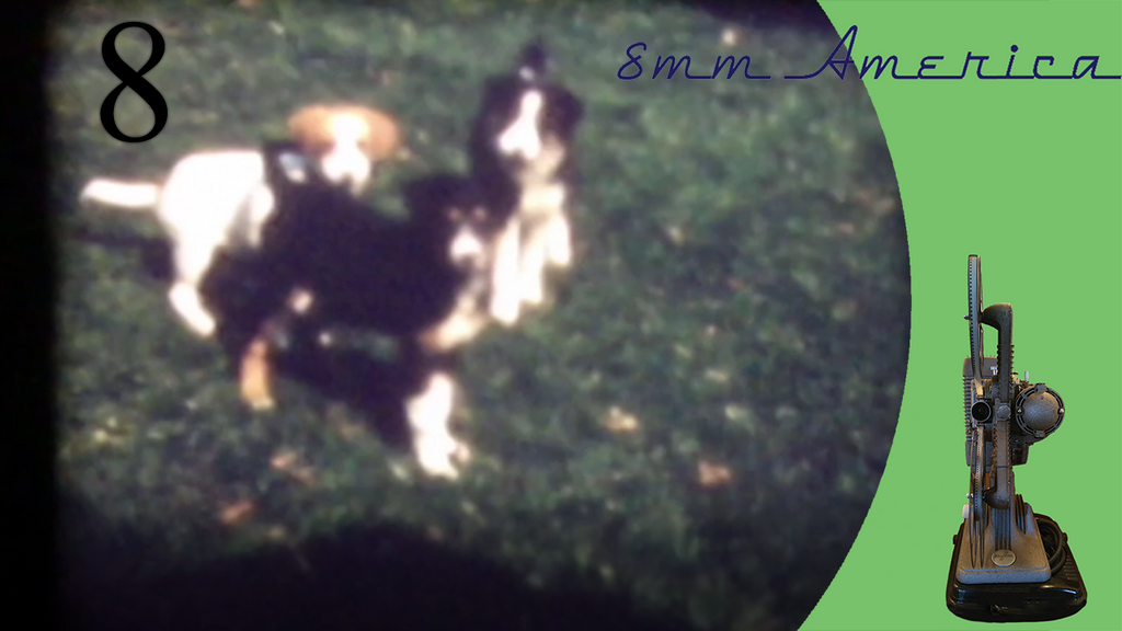 8mm アメリカ エピソード 8: 遊ぶ春の子犬